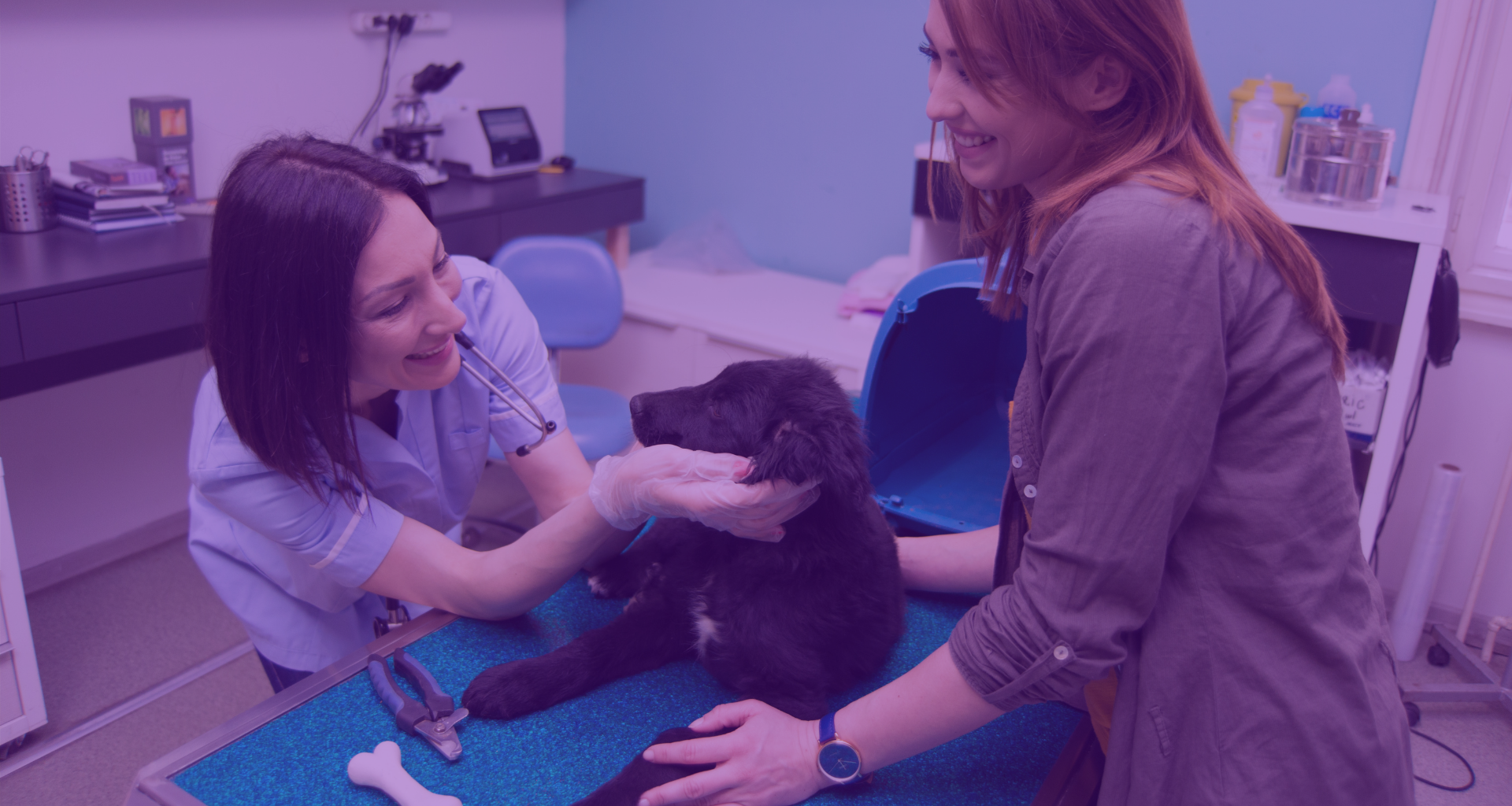 VetTV, tu canal de televisión veterinario presenta: Los planes de salud-imagen